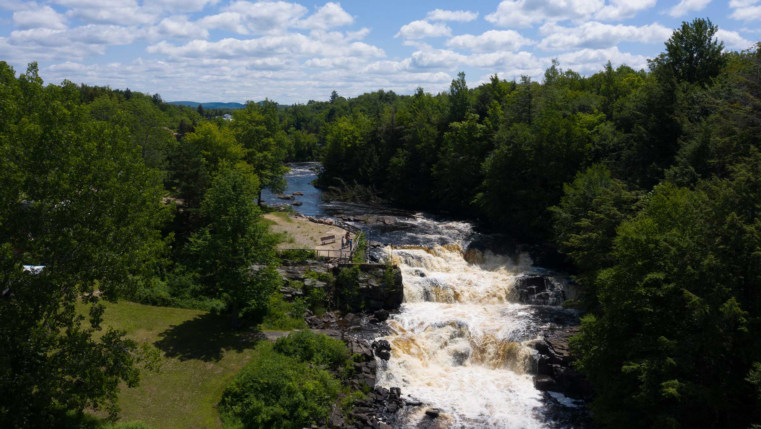 A river running through a forest