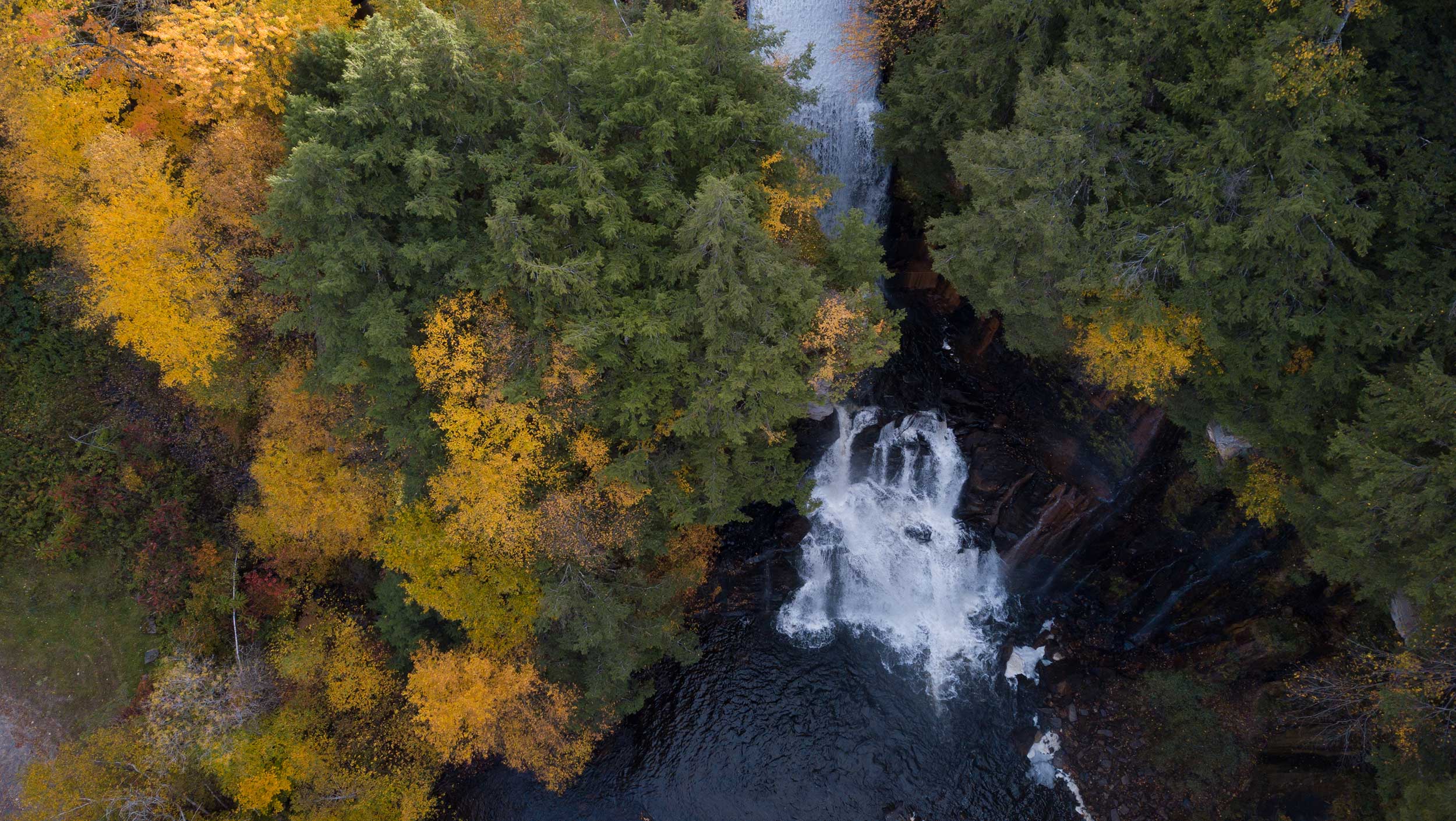 A large waterfall in a forest