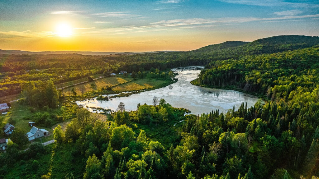 A large body of water surrounded by trees
